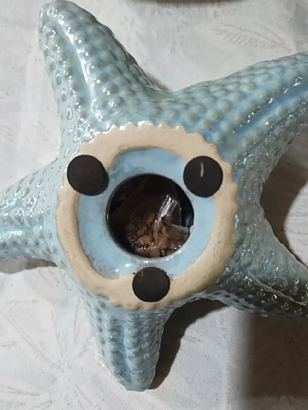 Coastal Seahorse Decorative Ceramic Bowl in Cream and Teal And Starfish EUC.